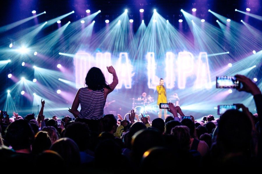 artist, audience, band