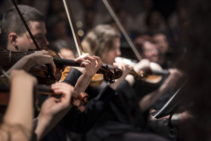 classical music, concert, macro